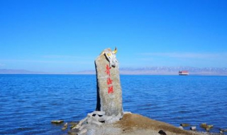 青海湖鸟岛旅游攻略（青海湖鸟岛旅游攻略一日游）