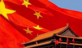 国庆节小长假（国庆节小长假期间,由于游人大量投食,鸟语林的小鸟）