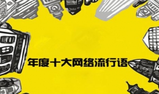 网络流行语研究（网络流行语研究的文献综述）