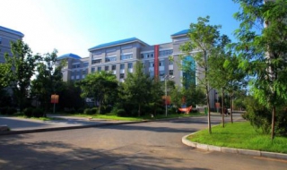 沈阳大学操场运动攻略（沈阳大学有早操吗）