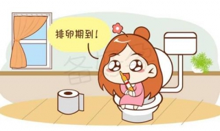 排卵期是什么意思（排卵期是什么意思几岁会有）
