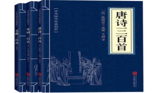 唐诗三百首：元稹行宫 元稹的行宫是什么意思