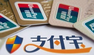 支付宝支付密码忘了怎么办 苹果支付宝支付密码忘了怎么办