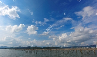 蟾蜍养殖方法有哪些