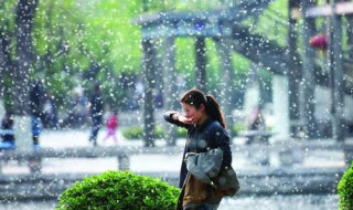 对柳絮过敏怎么办 对柳絮过敏怎么办老咳嗽