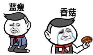 网络流行语研究 网络流行语研究现状