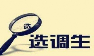选调生的条件（考选调生需要哪些条件）