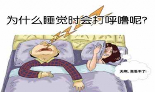 睡觉老打呼噜怎么办（睡觉就打鼾是什么原因）