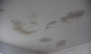 房顶漏水怎么办（屋顶漏水怎样处理最好）