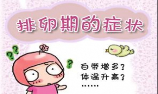 排卵期不排卵怎么办（一直不排卵怎么办）