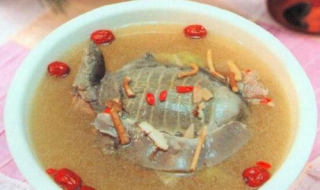 吃甲鱼过敏怎么办（甲鱼过敏怎么快速消除）
