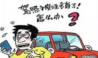 12分扣完怎么办 扣满12分补救方法