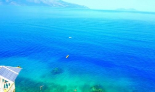 海为什么是蓝色的 海为什么是蓝色的?因为鱼会发出blue