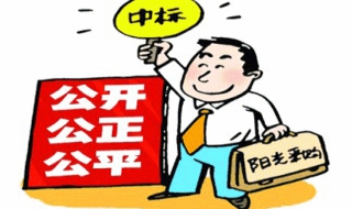 公开招标的组织与实施流程 公开招标的过程