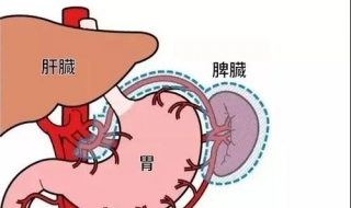肝火旺肾虚怎么办（肝火旺肾虚怎么办吃什么药）