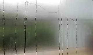 天气潮湿怎么办（天气潮湿怎么办小妙招）