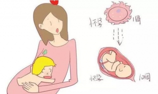 怀不了孕怎么办（男生怀不了孕怎么办）