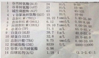 谷草转氨酶高怎么办（谷丙转氨酶和谷草转氨酶高怎么办）
