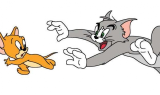 猫见了老鼠为什么拔腿就跑 猫见了老鼠为什么拔腿就跑脑筋急转弯