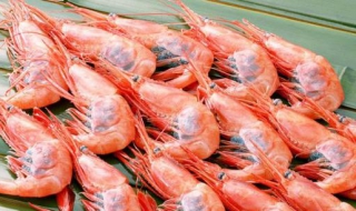 海虾与河虾的区别（河虾和海虾一样吗）