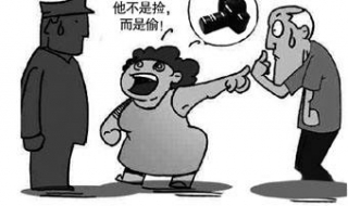 盗窃罪与侵占罪的区别 盗窃罪与侵占罪的区别论文