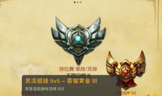 灵活组排和单双排的区别（灵活组排和单双排的区别在哪）