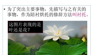 烘托和衬托的区别（侧面烘托和衬托的区别）