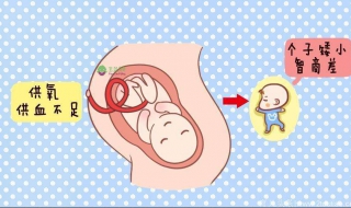 孕妇轻微贫血怎么办（孕妇轻微贫血有什么症状）