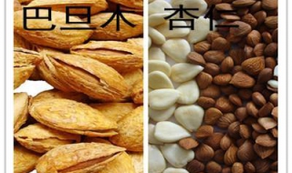 巴旦木和杏仁的区别（巴旦木和杏仁的区别图）