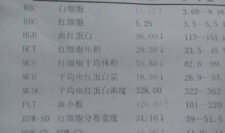 严重贫血怎么办（老年人严重贫血怎么办）