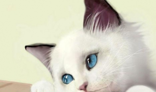 难受怎么办 胃难受怎么办快速缓解