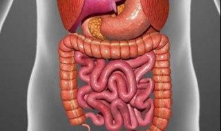 肠粘连怎么办（肠粘连的最好治疗方法）