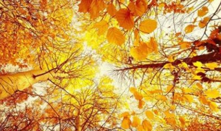 秋天上火怎么办 容易上火怎么办