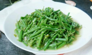 龙须菜的做法有哪些（龙须菜的做法和吃法）