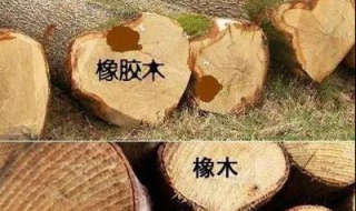 橡胶木和橡木的区别 橡胶木和橡木的区别 哪个比较好