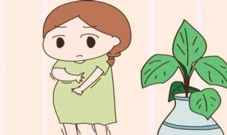 怀孕一个月注意事项（怀孕一个月注意事项和饮食禁忌）