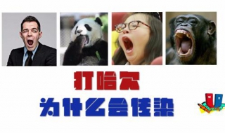 打哈欠为什么会传染 打哈欠为什么会流眼泪