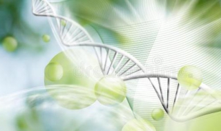 水蛭养殖技术蛭通生物技术 水蛭高效养殖技术
