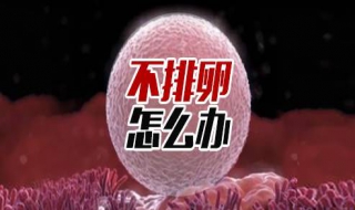 不排卵怎么办 不排卵怎么办如何促排卵