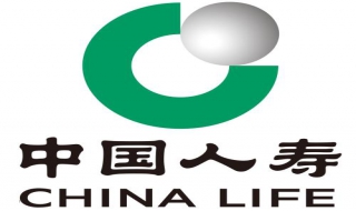 怎么玩儿中国人寿手机端的智测身价 中国人寿智能投保2.0教程