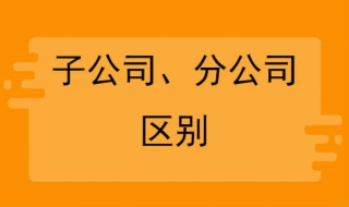 子公司和分公司的区别（成立子公司的好处和弊端）