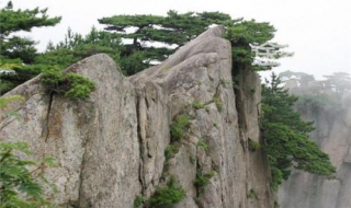 黄山旅游注意事项（黄山旅游注意事项夏天）
