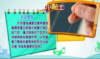 针炙减肥有效吗 针灸减肥真的有用吗,会不会反弹?