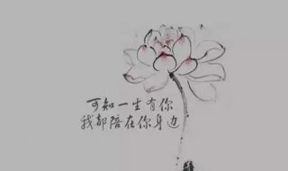 教你学会土味情话（教你学会土味情话怎么说）