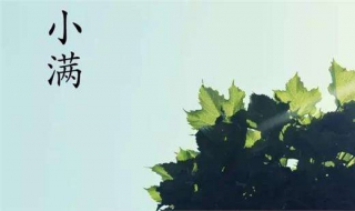 二十四节气小满有什么含义（二十节气小满是什么意思）