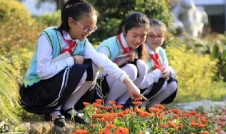 中小学心理健康教育的方法（中小学心理健康教育的方法包括）