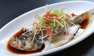 海鲈鱼的做法大全 红烧海鲈鱼的做法大全