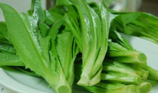 油麦菜的做法大全