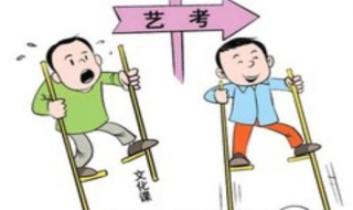 艺考文化课补习经验（艺考补课文化课）