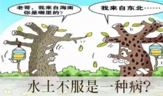 水土不服长痘怎么办 长痘怎么办